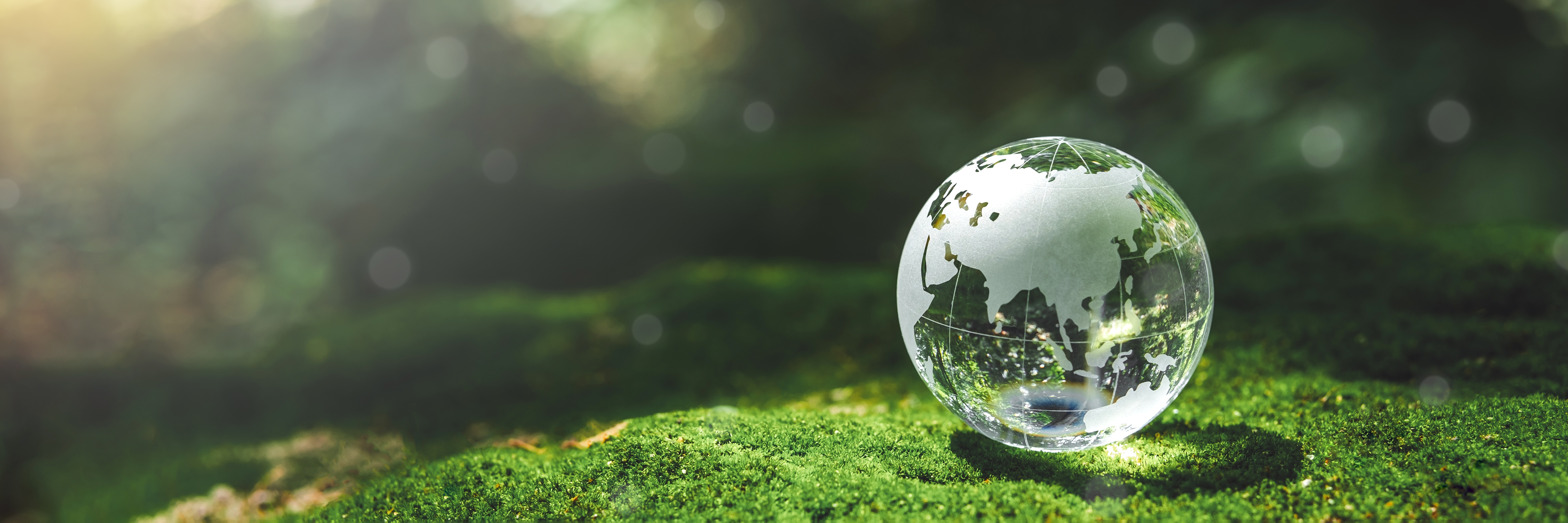 Sustainability | DISA