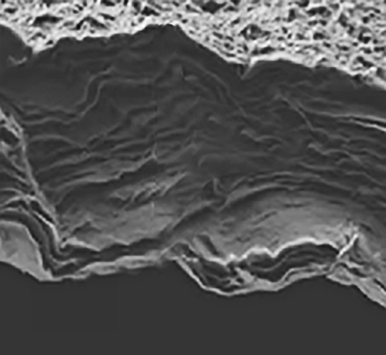 Clay platelets | Simpson