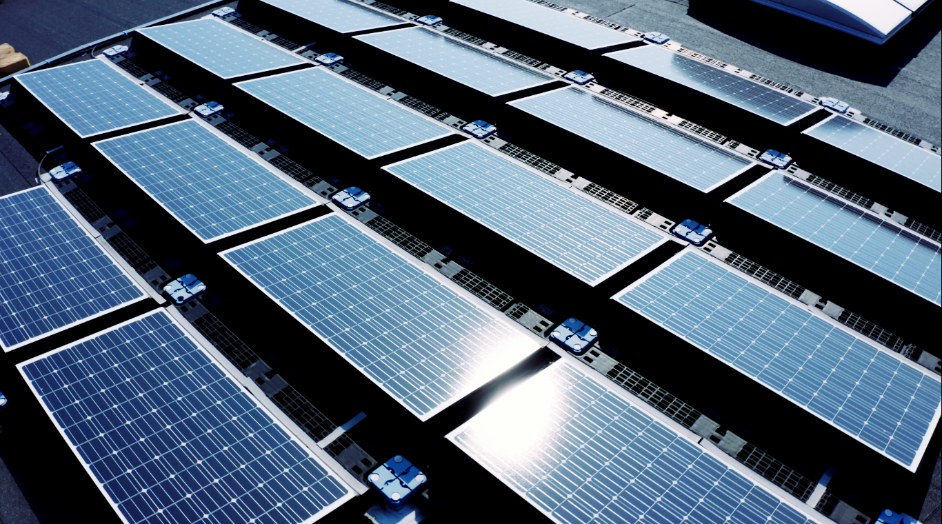 Sustainability | DISA