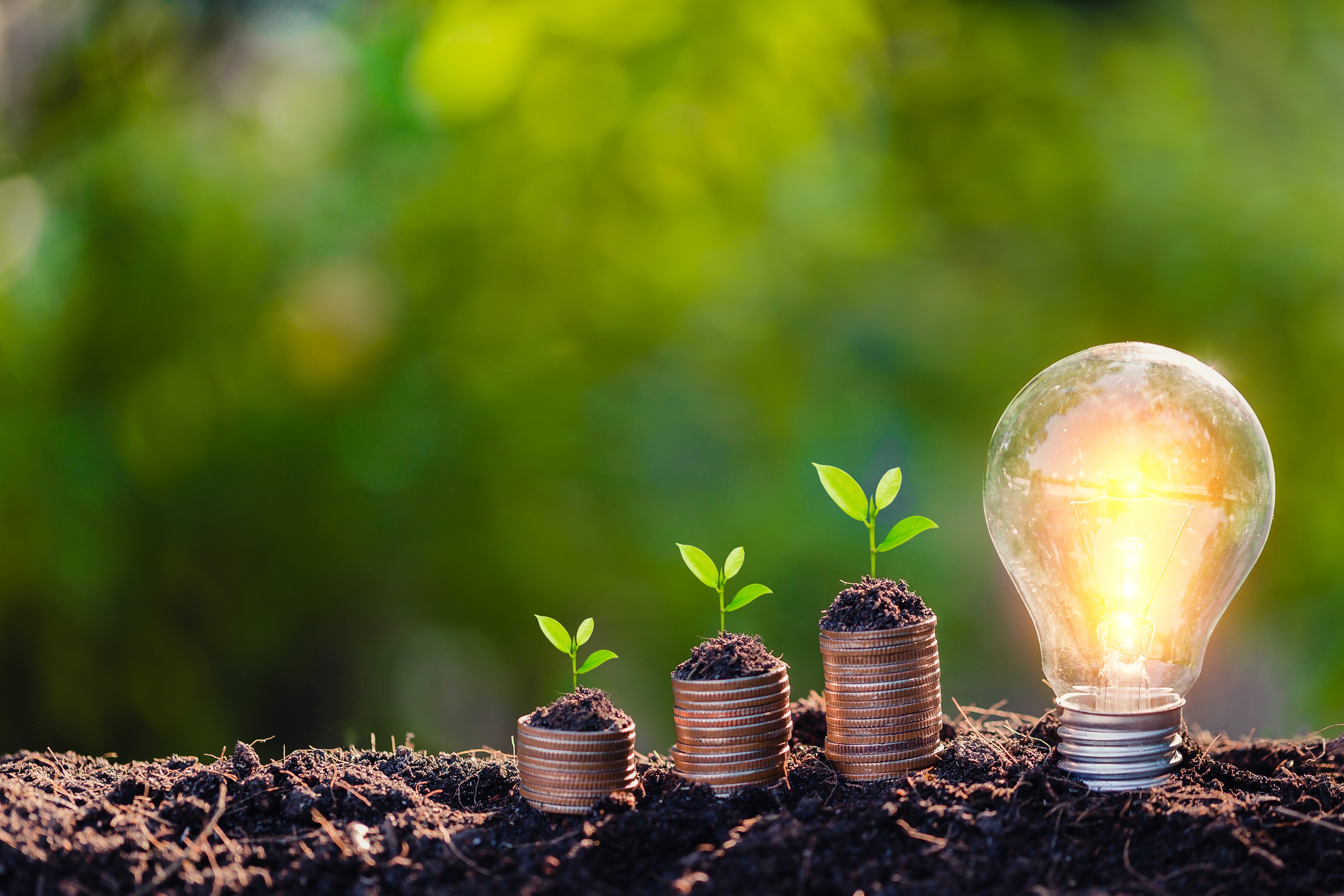 Sustainability | SIMPSON