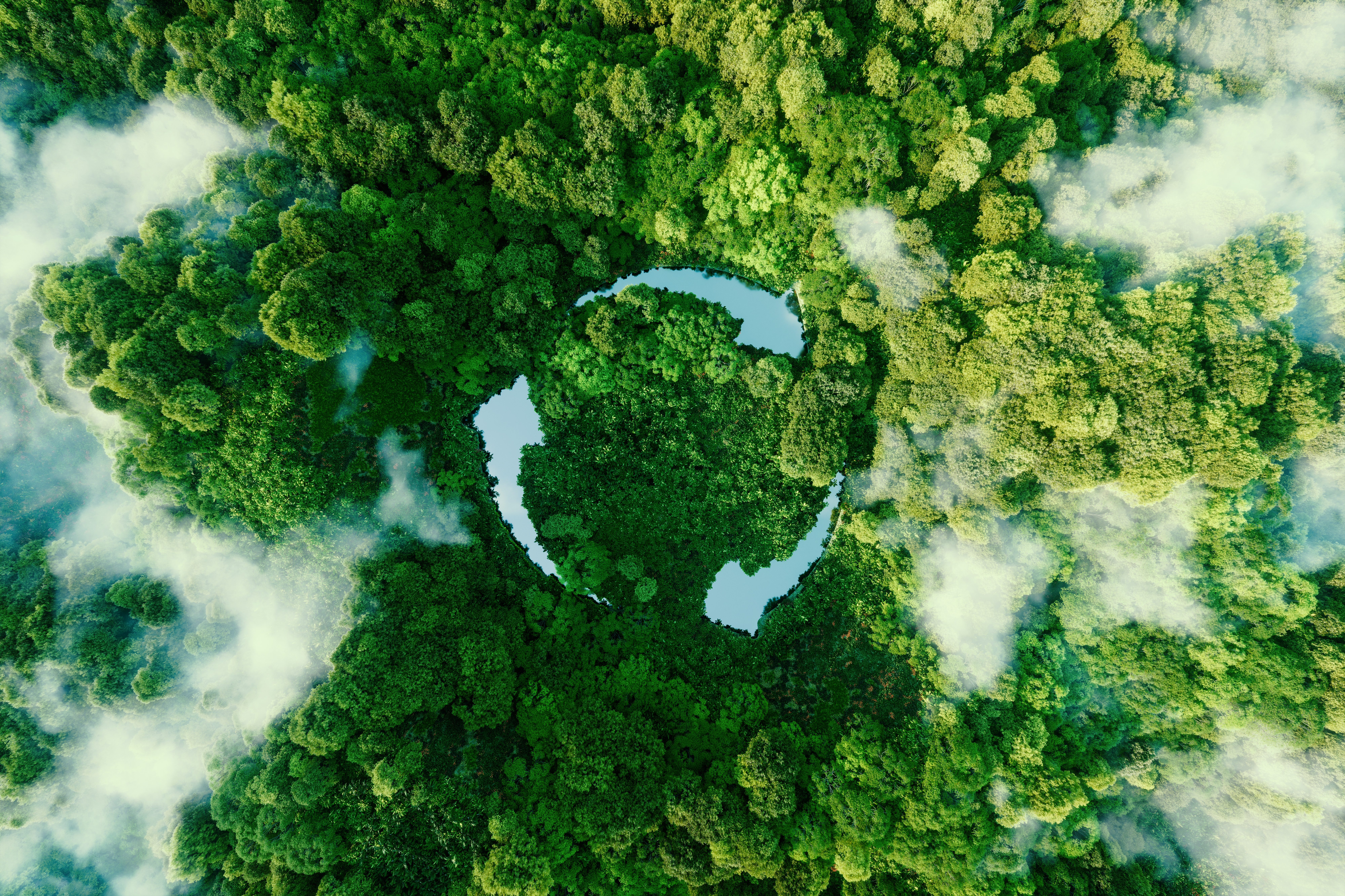 Sustainability | Simpson