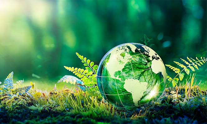 Sustainability | SIMPSON