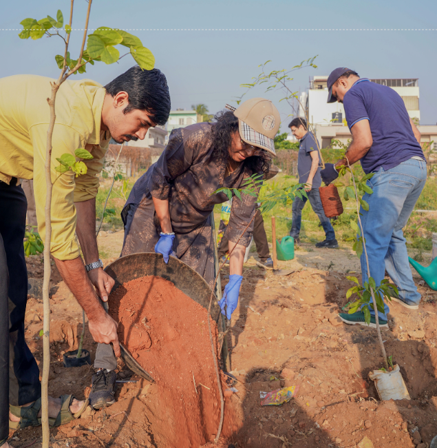 Tree Plantation Drive 